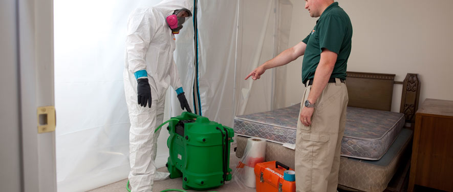San Diego, CA mold removal process